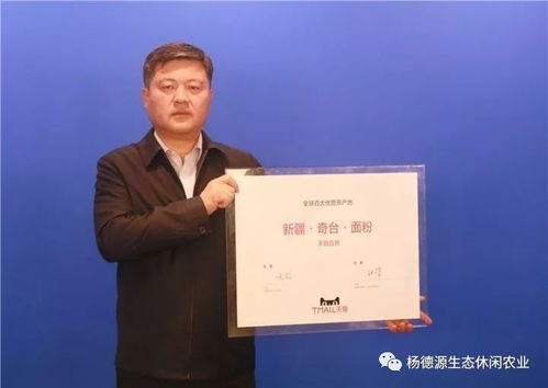 游奇臺(tái)金古城，品華夏第一面 供應(yīng)鏈管理賦能文旅餐飲新體驗(yàn)